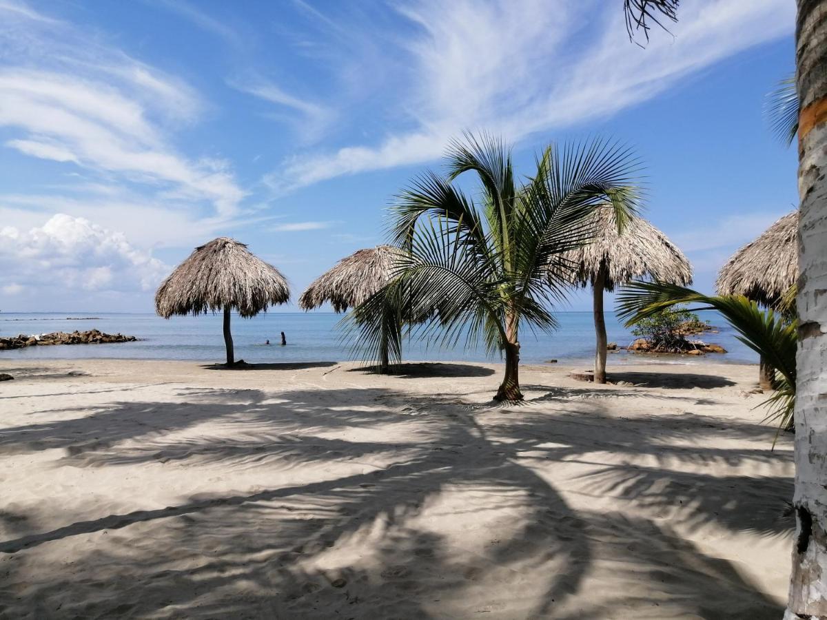 Cabanas La Cuchita Rnt 61621 Ковеньяс Экстерьер фото